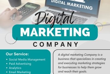 Digital Markeitng Company in Jayanagar | Skyaltum