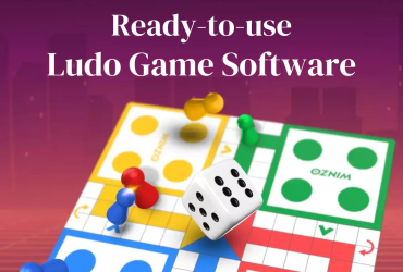 Online Ludo Game Software Solution