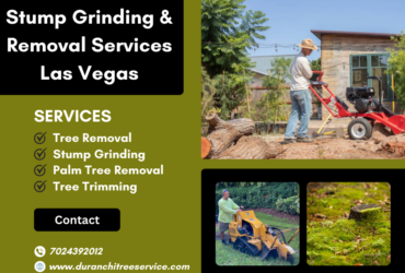 Best Stump Grinding Services by Duranchi Tree Service in Las Vegas