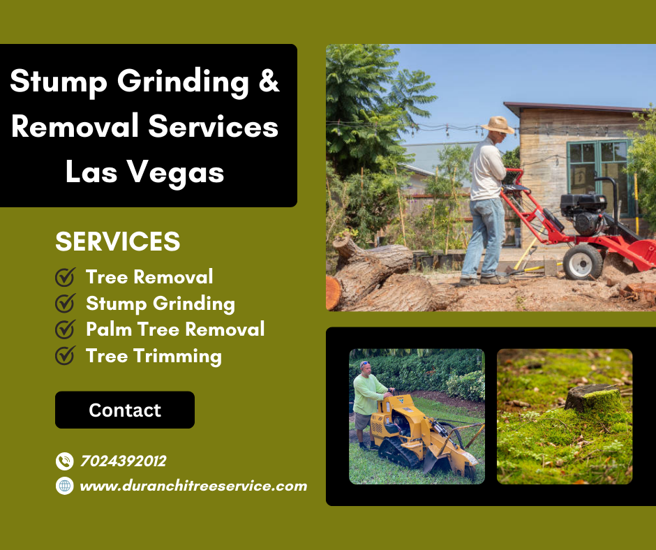 Best Stump Grinding Services by Duranchi Tree Service in Las Vegas