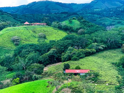 Discover Your Dream Farmhouse Land in Costa Rica's Countryside