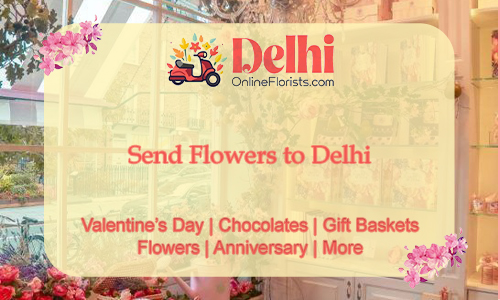 DelhiOnlineFlorists: Stunning Bouquets and Swift Delivery to Delight Your Loved Ones in Delhi!