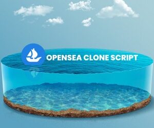 OpenSea Clone Script Development