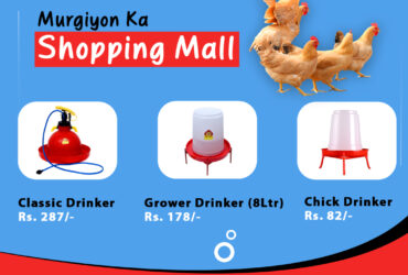 Poulmart | Murgiyon ka Shopping Mall