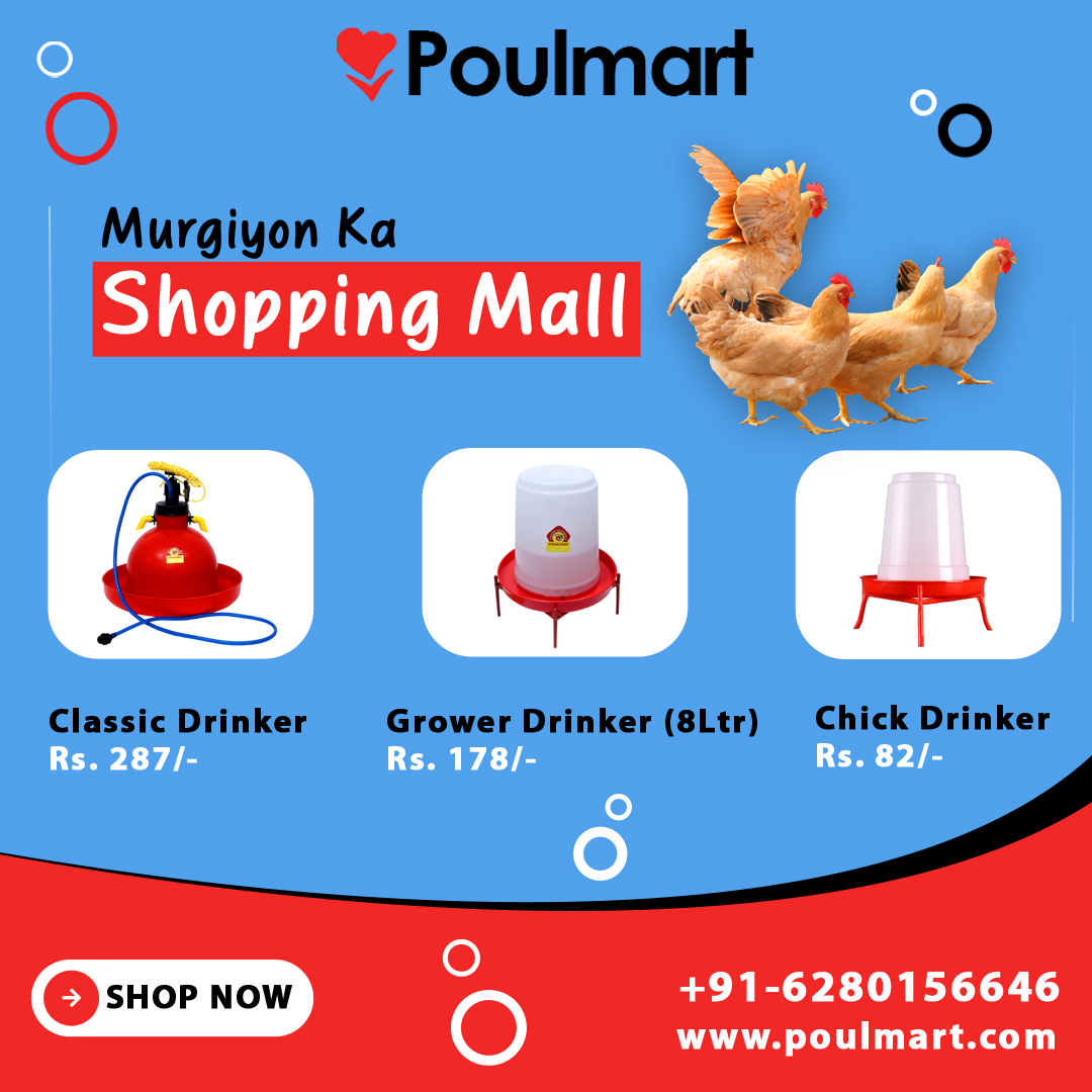 Poulmart | Murgiyon ka Shopping Mall